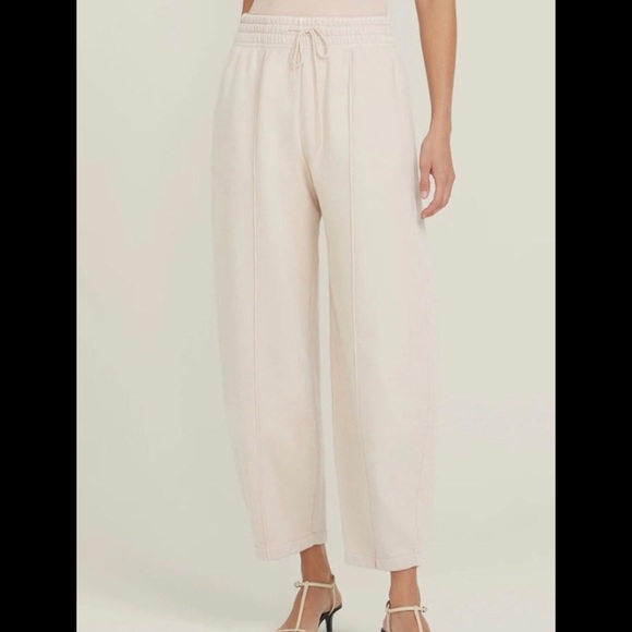 Agolde Pants - AGOLDE 90’s bow legged pin tuck sweatpant size Medium